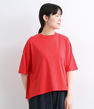 USAコットン　クロップドフレアTee(レッド-1)