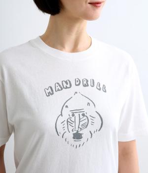 USAコットン　マンドリルTee(オフ-1)