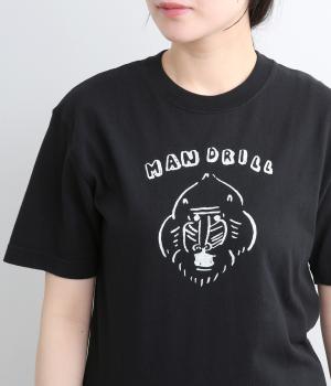 USAコットン　マンドリルTee(ブラック-1)