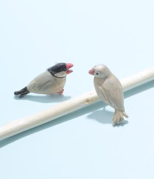 おしゃべり文鳥ピアス(カラー1-F)