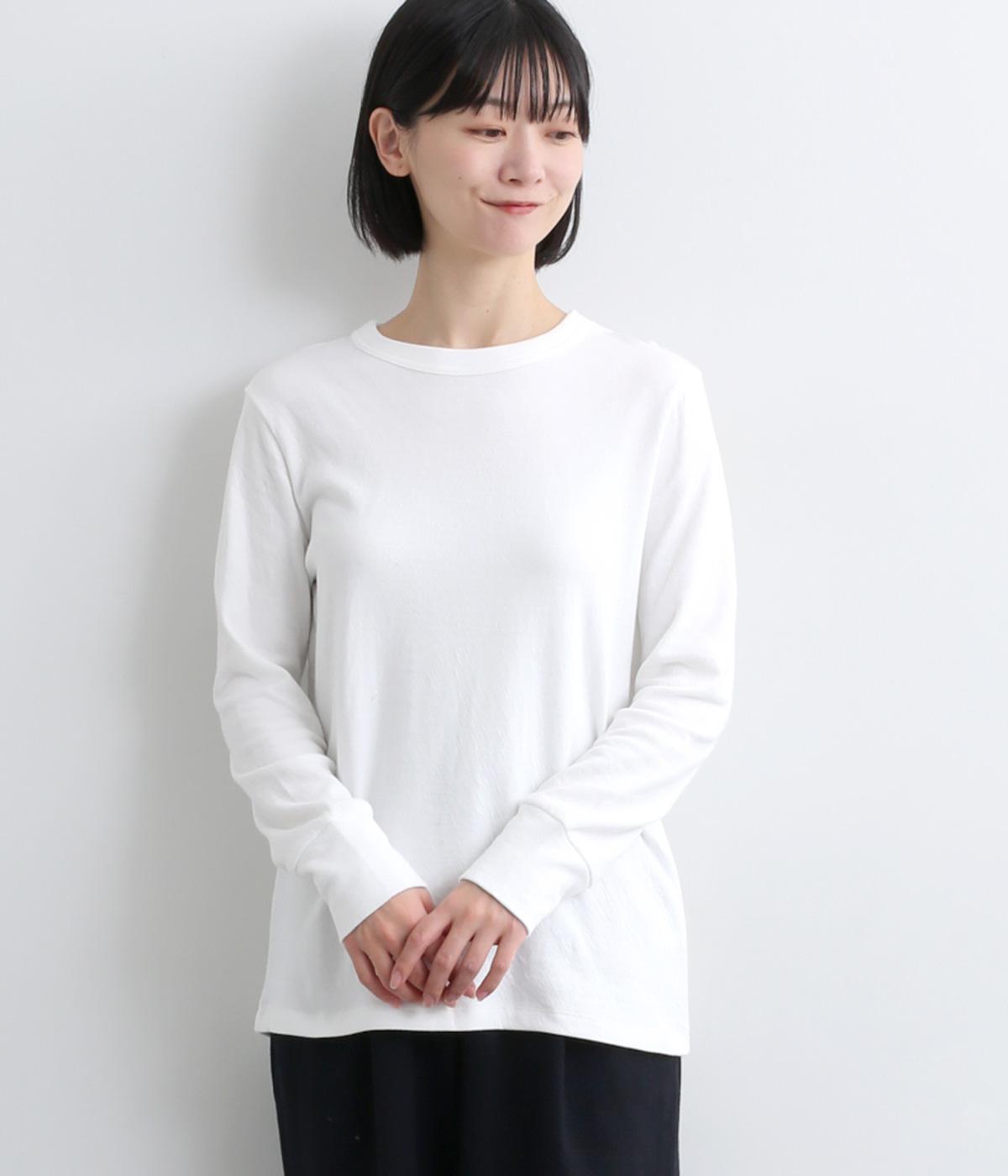 ソフトタッチ接結天竺ラウンドネックTシャツ(オフ-F)