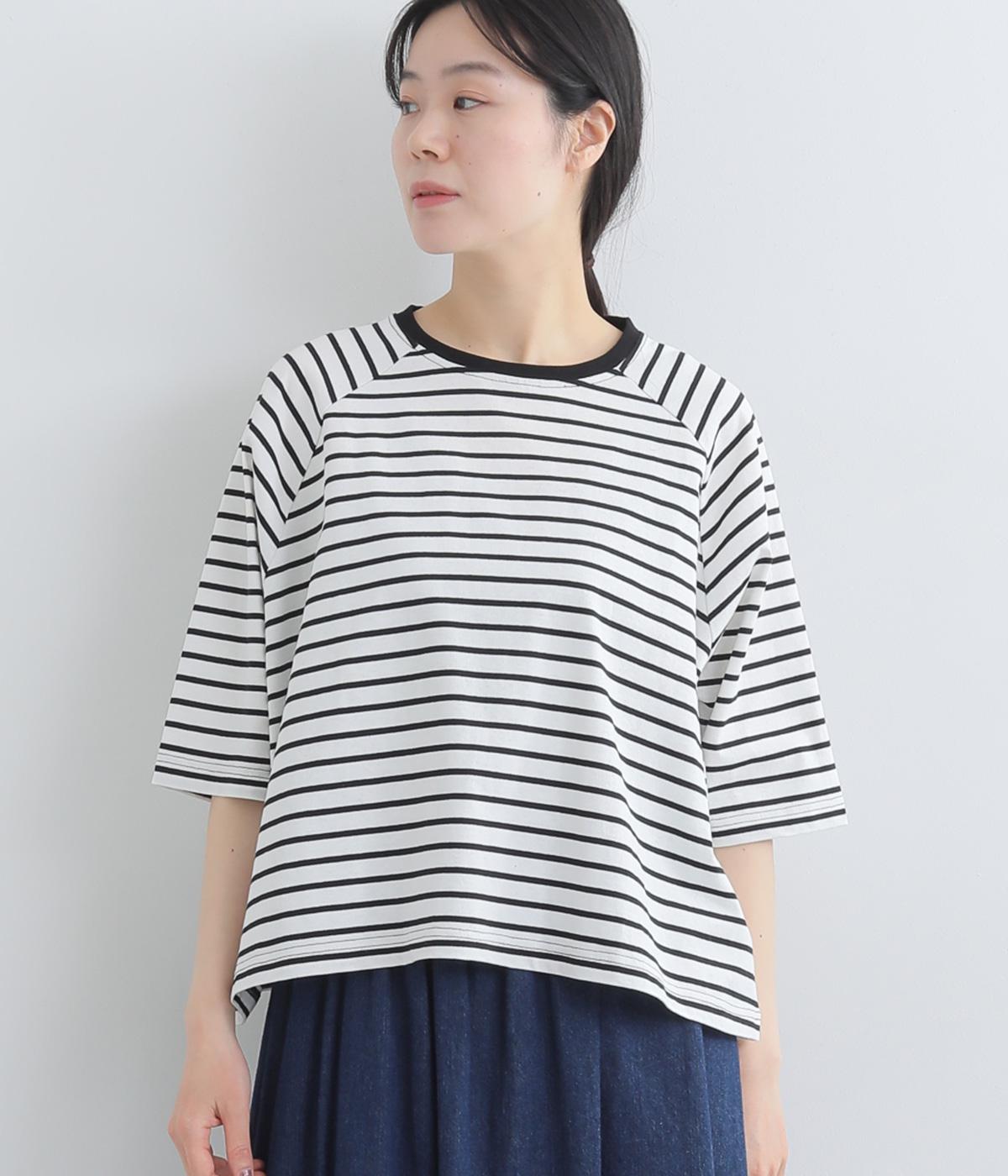 コットン天竺ボーダーTシャツ(オフホワイト-F)