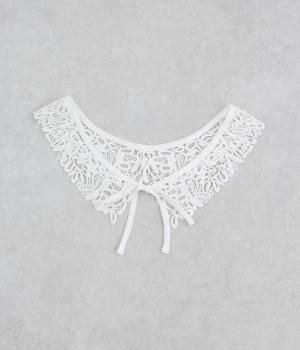 コットンレースつけ襟(ホワイト-F)