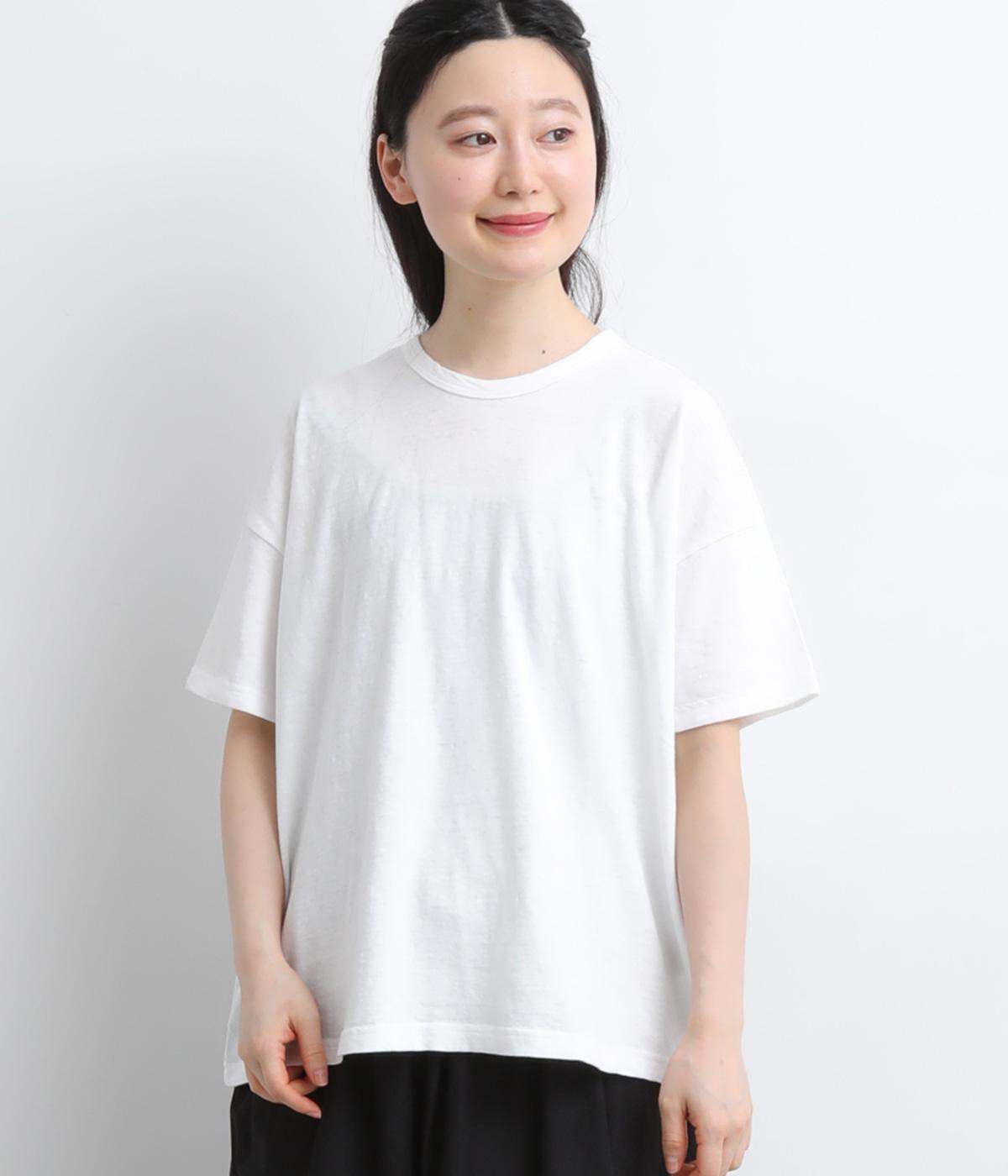 コットンＴシャツ(ホワイト-F)