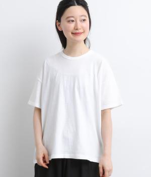 コットンＴシャツ(ホワイト-F)