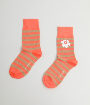 ボーダー×ウニッコソックス(レッド-ONESIZE)