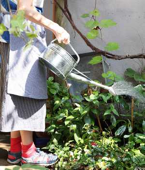 大阪のトタンジョーロ(カラー1-ONESIZE)