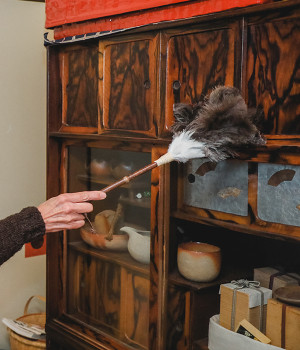 ダチョウ羽はたき中(カラー1-ONESIZE)