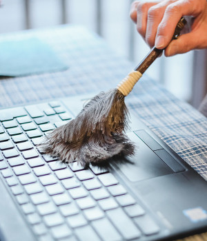 ダチョウ羽はたきミニ(カラー1-ONESIZE)