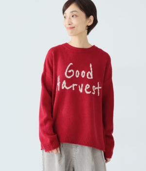 シェットランドウールロゴジャカードプルオーバー(レッド-F)