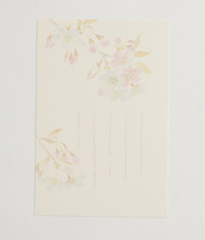 季節のはがき　山桜　5枚入り(カラー1-ONESIZE)