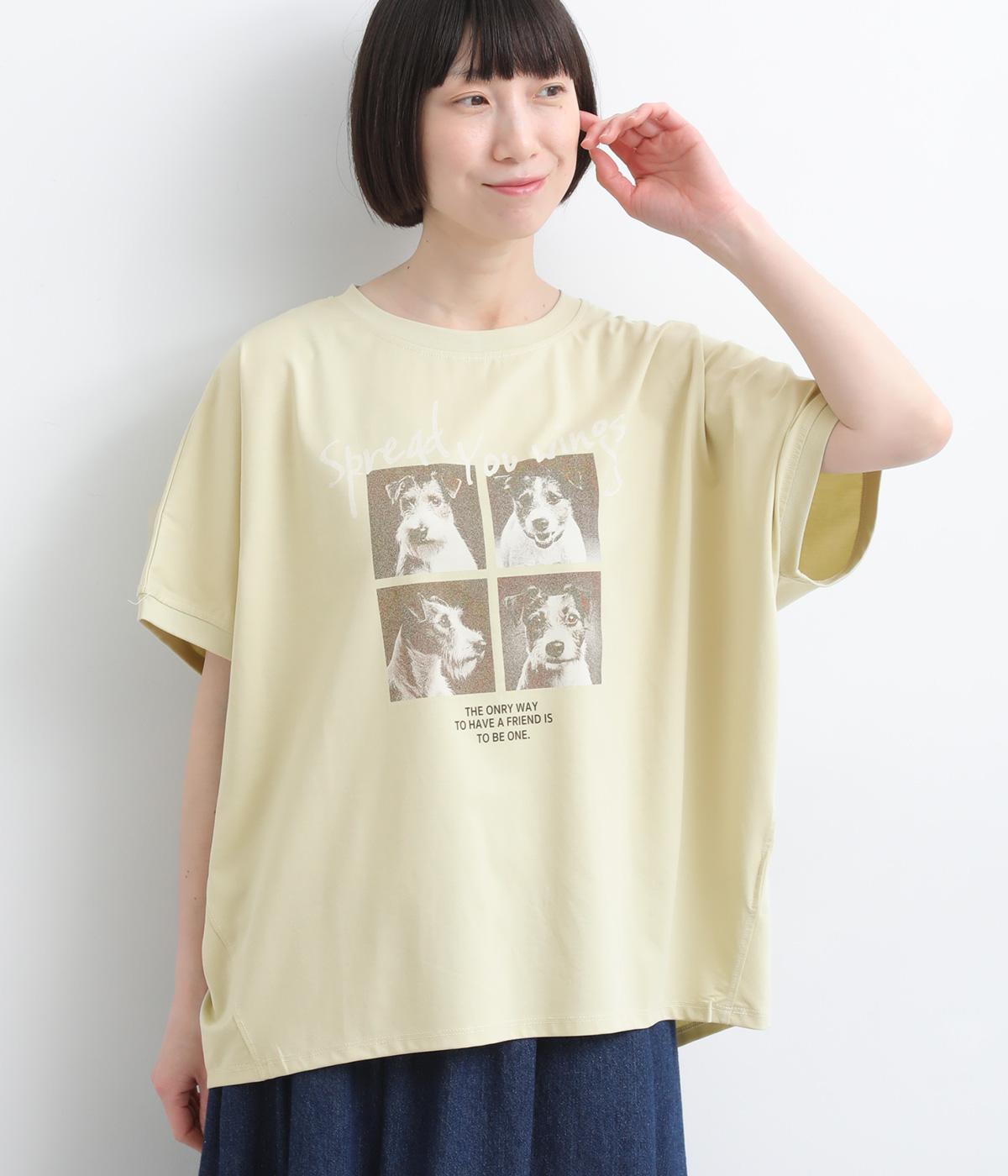 接触冷感 dogグラフィックゆるドルマンTEE｜le colis（ルコリ）の商品詳細