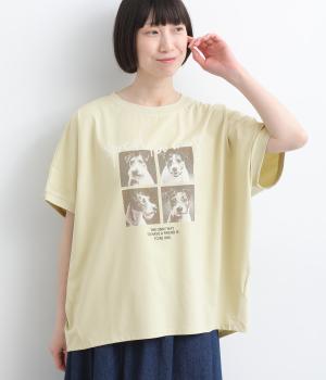 接触冷感　dogグラフィックゆるドルマンTEE(ライトグリーン-F)