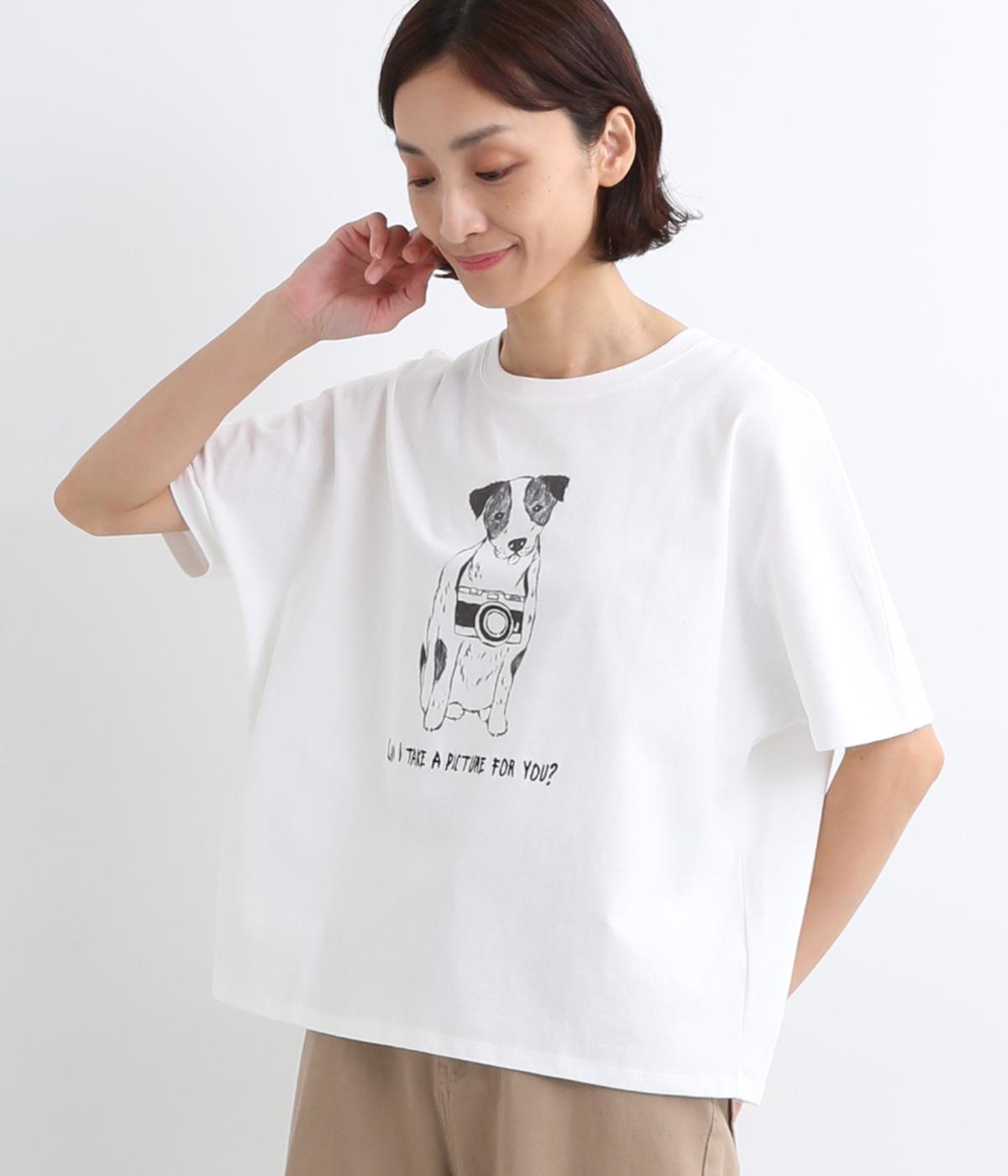 コットンカメラわんこドルマンプルオーバー(オフ-F)