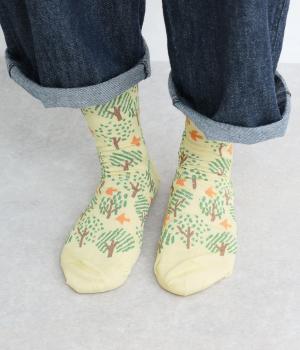 マトカソックス