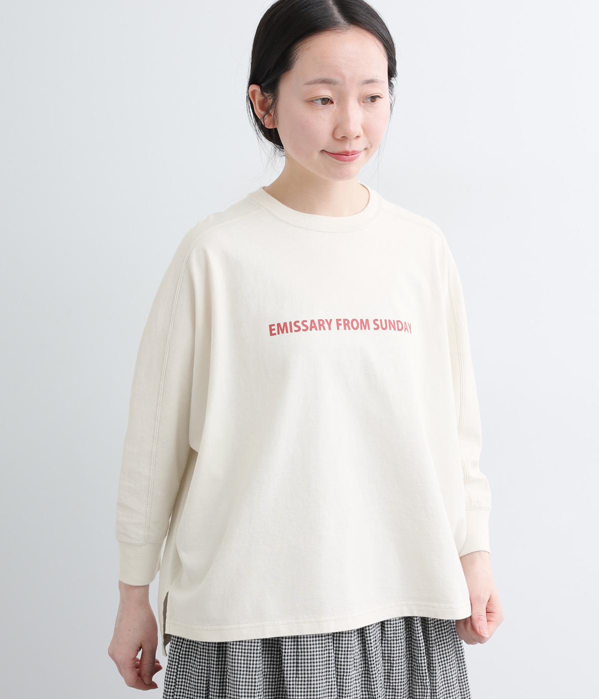 コットンドルマンスリーブプリントプルオーバー(ミスト-F)