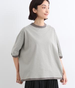 コットンアメリカンドライ天竺llドルマンボーダープルオーバー