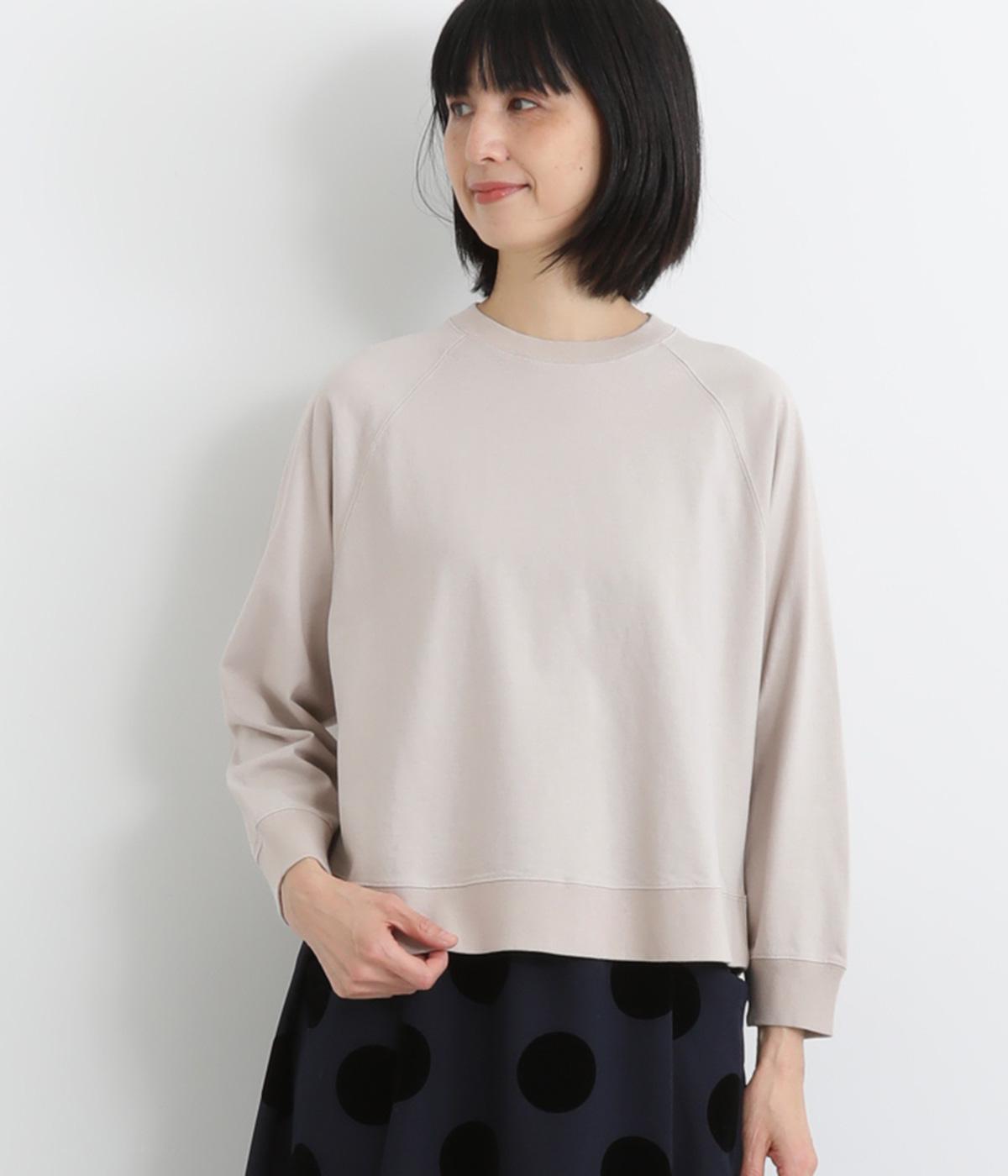 コットンアメリカンドライ天竺ラグランプルオーバー(グレージュ-F)