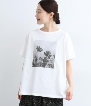 コットンプリントTシャツ(オフ-ONESIZE)
