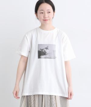 コットン天竺ネコTシャツ(オフホワイト  -F)