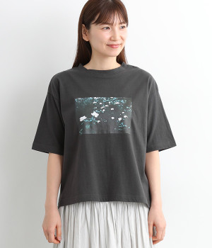 ラフィ天竺転写プリントワイドTシャツ(スミクロ-ONESIZE)