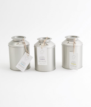 衣料用洗濯洗剤・プラス　新ミルク缶入り(ステンレス計量スプーン付)(プラス-ONESIZE)