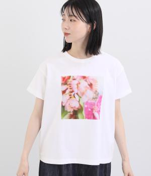 フォトプリントTシャツ(オフA-F)