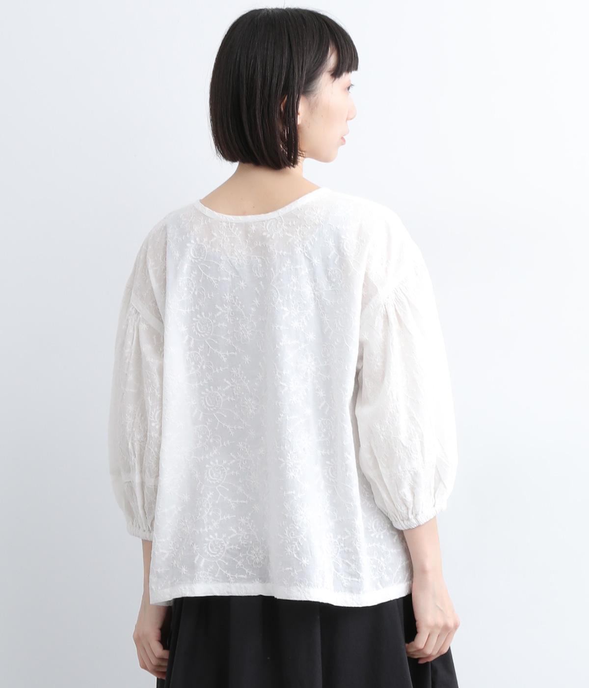 PAA-253T-17666_var-