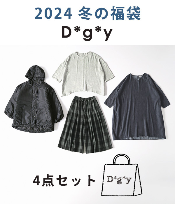 4点￥35000相当 D*g*y福袋