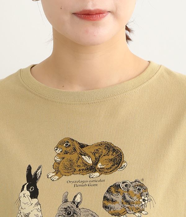 【別注】Zukan Rabbit(図鑑うさぎ)ビックTシャツ(ベージュ)