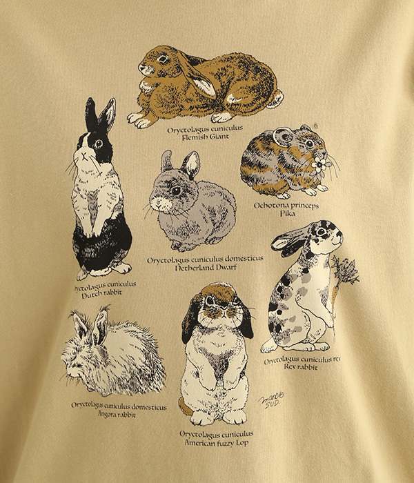 別注】Zukan Rabbit(図鑑うさぎ)ビックTシャツ(ベージュ)｜marble SUD 