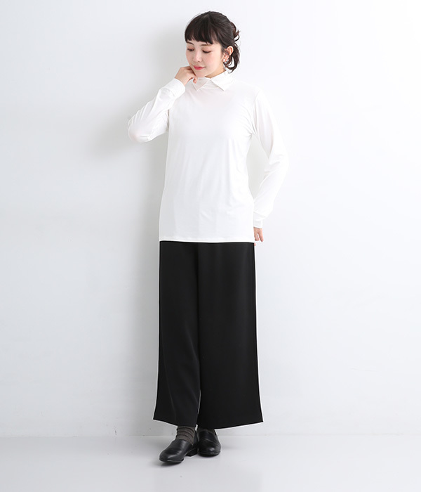mizuiro ind（ミズイロインド） シャツカラー ハイネック プル