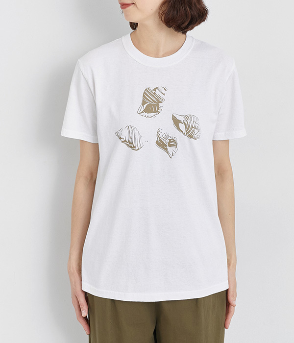 コットン天竺 プリントTシャツ　SHELL(A・オフホワイト×ベージュ)