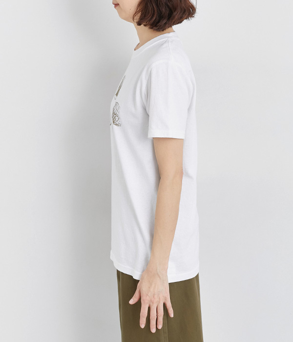 コットン天竺 プリントTシャツ　SHELL(A・オフホワイト×ベージュ)