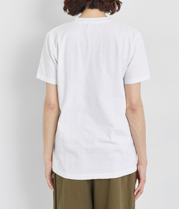 コットン天竺 プリントTシャツ　SHELL(A・オフホワイト×ベージュ)