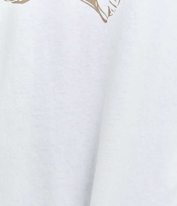コットン天竺 プリントTシャツ　SHELL(A・オフホワイト×ベージュ)
