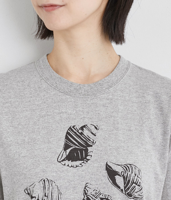 コットン天竺 プリントTシャツ　SHELL(A・オフホワイト×ベージュ)