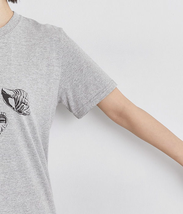 コットン天竺 プリントTシャツ　SHELL(A・オフホワイト×ベージュ)