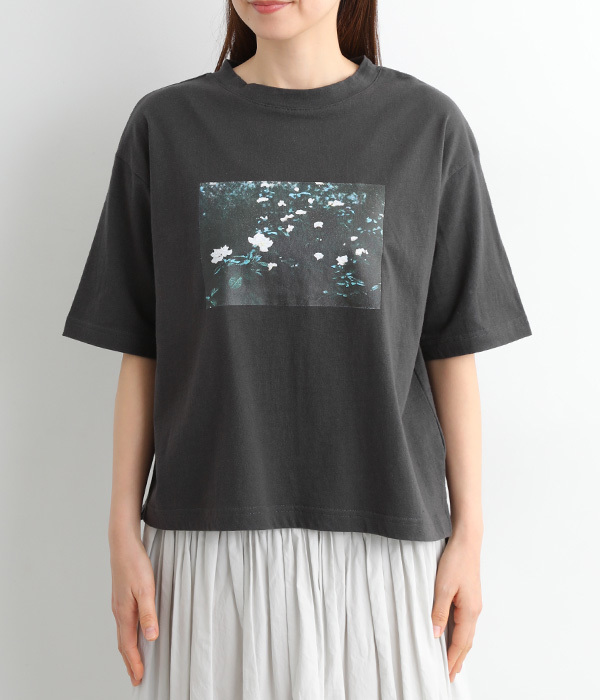 ラフィ天竺転写プリントワイドTシャツ(C・スミクロ)