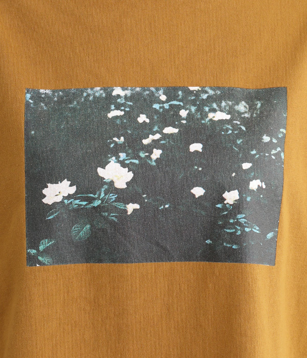 ラフィ天竺転写プリントワイドTシャツ(C・スミクロ)