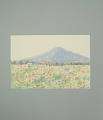 季節のはがき　富士とマーガレット　5枚入り(カラー1)