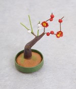 ミニ盆栽　紅白梅(カラー1)