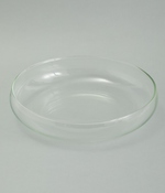 最後まですくいやすいリューズガラスの冷製パスタ皿(カラー1)